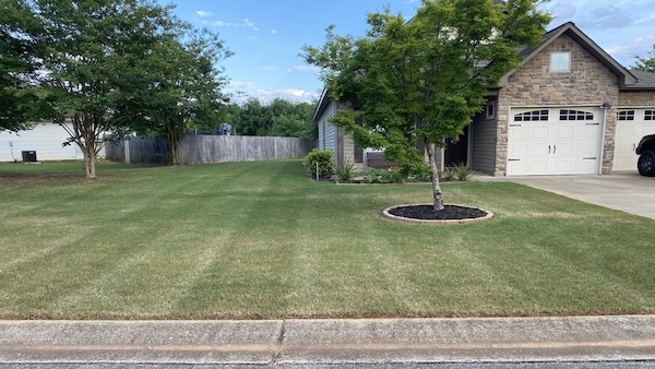 Freshly mowed lawn