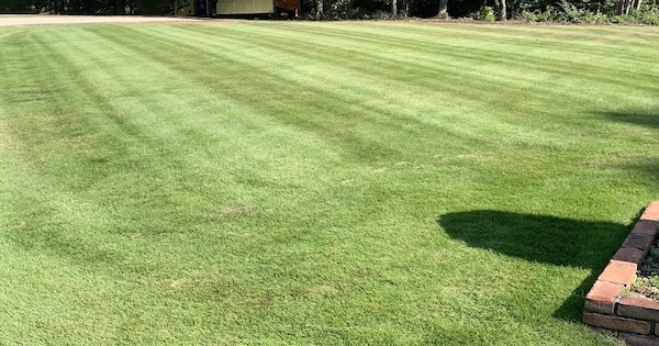 Mowed and trimmed grass