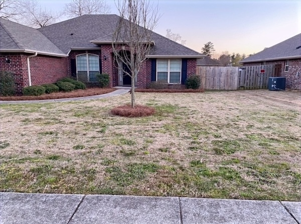 A front yard with new pine straw installed in the landscape beds